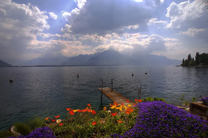 Les vignes de Lavaux au-dessus du Léman, Vaud