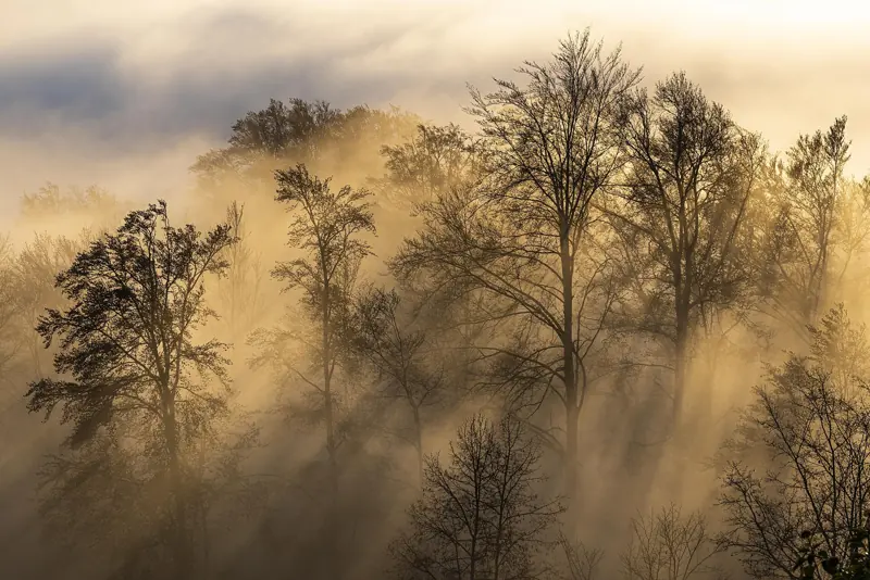 Uetliberg, Zurich's local mountain