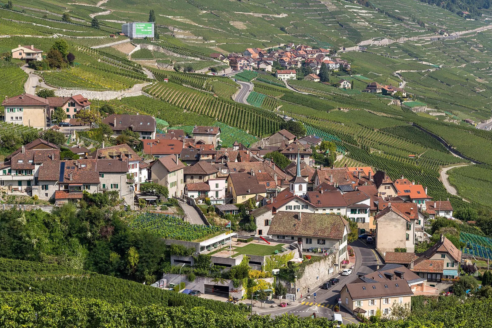 Chemin dans les vignes de Lavaux près d'Epesses