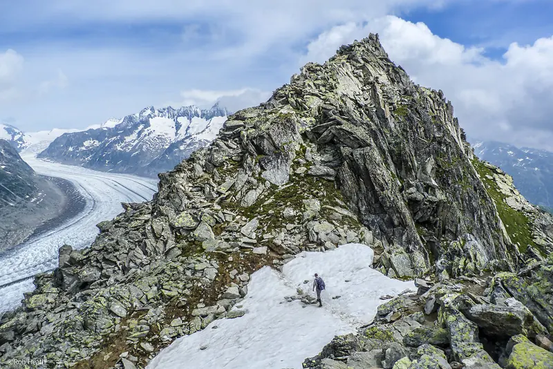 Switzerland in August: the Great Aletsch Glacier seen from the Eggishorn on a clear summer day