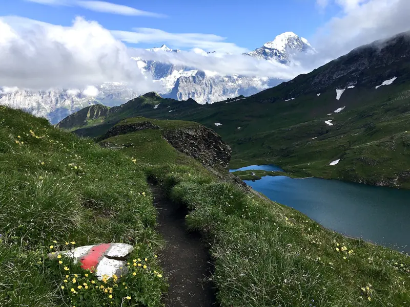 Switzerland in June: wildflowers and the last snow patches on the trail to Bachalpsee above Grindelwald